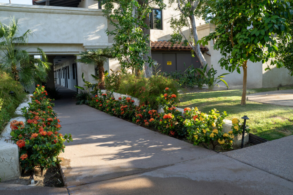 Harlow Gardens campus in downtown Palm Springs
